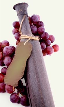 Resveratrol